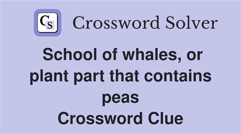 schools of whales crossword clue|More.